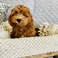 processed/593bd86f-8e6b-40fb-86bd-03336e37df9e/facility/b4fce6cd-bcf2-41c6-9da9-cb2827db0fb1