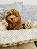 processed/593bd86f-8e6b-40fb-86bd-03336e37df9e/facility/b4fce6cd-bcf2-41c6-9da9-cb2827db0fb1