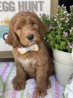 processed/593bd86f-8e6b-40fb-86bd-03336e37df9e/facility/bff11935-d570-45b0-9abf-eeb3371ba255