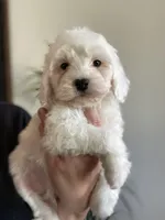 processed/593bd86f-8e6b-40fb-86bd-03336e37df9e/listing/4c3aa941-2efa-4cb6-aa2c-00be54ac4638/1f94436c-8dac-484f-9bcc-eff1ad52f04b