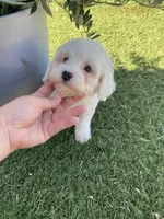 processed/593bd86f-8e6b-40fb-86bd-03336e37df9e/listing/4c3aa941-2efa-4cb6-aa2c-00be54ac4638/516e0ee9-e2e6-4df2-9e41-d528a5894ef6