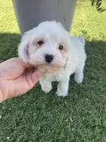 processed/593bd86f-8e6b-40fb-86bd-03336e37df9e/listing/4c3aa941-2efa-4cb6-aa2c-00be54ac4638/bf1af2ff-af67-4b76-adfc-909f2ed51459