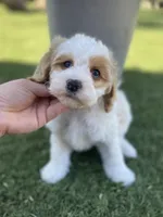 processed/593bd86f-8e6b-40fb-86bd-03336e37df9e/listing/5aba3adc-1b5b-4b2d-9c06-dfe9f9e30713/1c67b053-68b3-4b9b-850b-f68de9825f48