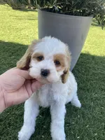 processed/593bd86f-8e6b-40fb-86bd-03336e37df9e/listing/5aba3adc-1b5b-4b2d-9c06-dfe9f9e30713/8485155e-43ae-4e88-bb07-1b59d0da17a2