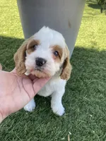 processed/593bd86f-8e6b-40fb-86bd-03336e37df9e/listing/6772afba-d5f2-4066-bd7b-546203a58a69/312502ea-7248-4b26-83f0-e9a2acd18386