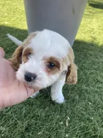 processed/593bd86f-8e6b-40fb-86bd-03336e37df9e/listing/6772afba-d5f2-4066-bd7b-546203a58a69/662af128-ef1d-4005-a5ee-97e455c5f535