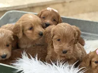 processed/593bd86f-8e6b-40fb-86bd-03336e37df9e/listing/bbc574b2-c91c-4a68-915e-1dd38c809a34/01970830-541f-4e3c-bbc9-e3e9297c5f8d