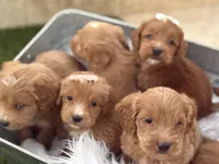 processed/593bd86f-8e6b-40fb-86bd-03336e37df9e/listing/bbc574b2-c91c-4a68-915e-1dd38c809a34/382b8f7f-ad16-47fc-966c-67ea81a632c0