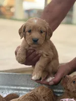 processed/593bd86f-8e6b-40fb-86bd-03336e37df9e/listing/bbc574b2-c91c-4a68-915e-1dd38c809a34/4022b7c0-82e2-4baa-967b-5476dea0734c