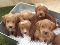 processed/593bd86f-8e6b-40fb-86bd-03336e37df9e/listing/bbc574b2-c91c-4a68-915e-1dd38c809a34/50b053ed-98ca-46a7-9c8f-498bf4f48c3c