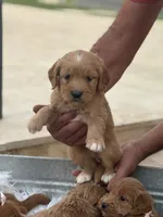 processed/593bd86f-8e6b-40fb-86bd-03336e37df9e/listing/bbc574b2-c91c-4a68-915e-1dd38c809a34/73b78ce3-f417-4ee0-be4e-a1fd551a3799