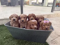 processed/593bd86f-8e6b-40fb-86bd-03336e37df9e/listing/bbc574b2-c91c-4a68-915e-1dd38c809a34/9c1f42da-65ad-4263-8851-58fe2f721da6