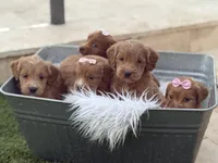 processed/593bd86f-8e6b-40fb-86bd-03336e37df9e/listing/bbc574b2-c91c-4a68-915e-1dd38c809a34/be91110a-1a1a-4e93-88be-1a3108581a26