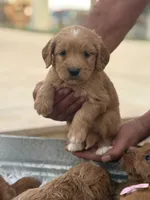 processed/593bd86f-8e6b-40fb-86bd-03336e37df9e/listing/bbc574b2-c91c-4a68-915e-1dd38c809a34/fd907d77-8b18-4a01-9207-5f849481701a