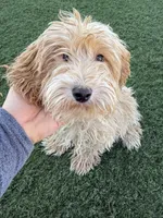 processed/593bd86f-8e6b-40fb-86bd-03336e37df9e/listing/d54e3b63-8e78-44f5-8919-11b746a17587/224d8f25-ae56-4fb8-960d-c59e226fb32f