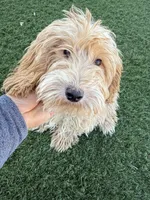 processed/593bd86f-8e6b-40fb-86bd-03336e37df9e/listing/d54e3b63-8e78-44f5-8919-11b746a17587/83e2d4ec-156e-4509-8133-e61644dcac20