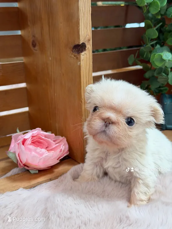 Blanche carries pink