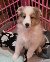 processed/594c3667-4336-4f33-804d-b54acf503087/listing/17f0de05-67cd-467f-902b-134be8256225/71a4c734-2938-4926-899f-82a7bcaf80a8