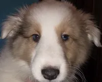 processed/594c3667-4336-4f33-804d-b54acf503087/listing/17f0de05-67cd-467f-902b-134be8256225/99904e70-1fdd-4f89-9c16-1b78b6a6a4c9