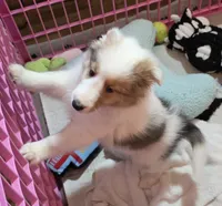 processed/594c3667-4336-4f33-804d-b54acf503087/listing/17f0de05-67cd-467f-902b-134be8256225/c32a0ad4-5207-44b6-a8a8-bee2e4b2f91c