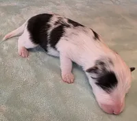 processed/594c3667-4336-4f33-804d-b54acf503087/listing/2105b0e2-d823-4093-a6bf-f2c5b14cfac5/1bd338fb-9a41-4fd2-a781-8de23cff3c21