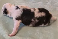 processed/594c3667-4336-4f33-804d-b54acf503087/listing/2105b0e2-d823-4093-a6bf-f2c5b14cfac5/94a878c0-4ce2-4195-a055-974c767b1ffe