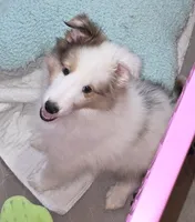 processed/594c3667-4336-4f33-804d-b54acf503087/listing/3373e4a9-7bb2-426d-a6b6-0f4e2016bb67/de6e4fdf-a3e7-454e-aeb6-24d0ce92f2ac