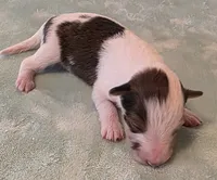 processed/594c3667-4336-4f33-804d-b54acf503087/listing/40d7acb8-b83f-4dfa-830e-cb161599bb4a/5cc93619-523d-4513-bffe-f85649efb0a6