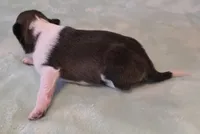 processed/594c3667-4336-4f33-804d-b54acf503087/listing/50b88e10-156e-42d0-b1ba-4920d3bb5f29/6ae2db91-0606-4762-af71-427a45e04351