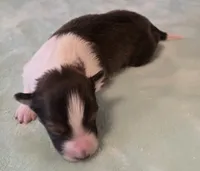 processed/594c3667-4336-4f33-804d-b54acf503087/listing/50b88e10-156e-42d0-b1ba-4920d3bb5f29/90de8523-e49e-4ac1-bca0-994795300330