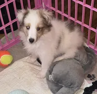 processed/594c3667-4336-4f33-804d-b54acf503087/listing/63854ec4-506e-49b2-85e4-2085956849b5/2bf26396-3313-428f-9ad4-c08839f6b079