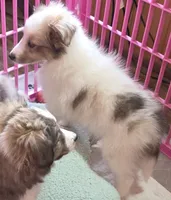 processed/594c3667-4336-4f33-804d-b54acf503087/listing/63854ec4-506e-49b2-85e4-2085956849b5/9f53f5b2-ab0f-4923-ab81-7a4bfd1d1e47