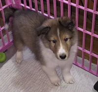 processed/594c3667-4336-4f33-804d-b54acf503087/listing/81b068d7-637e-46da-a95e-08d74a811f39/27683f5d-1e54-43cc-a675-80d3c642107e