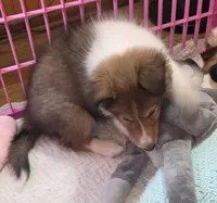 processed/594c3667-4336-4f33-804d-b54acf503087/listing/81b068d7-637e-46da-a95e-08d74a811f39/6e7a9b7b-405c-4fd9-8fd0-fbaa4893ad77