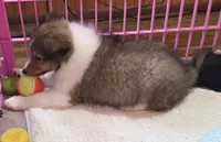 processed/594c3667-4336-4f33-804d-b54acf503087/listing/81b068d7-637e-46da-a95e-08d74a811f39/8885aade-e457-461d-898a-a9eba6d2fa3a