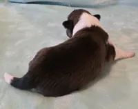 processed/594c3667-4336-4f33-804d-b54acf503087/listing/b437e5de-ea6c-4e0e-b5de-2479a119fe41/4c1480fd-db0f-49ba-994a-d14286cc06ac