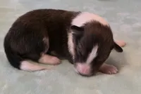 processed/594c3667-4336-4f33-804d-b54acf503087/listing/b437e5de-ea6c-4e0e-b5de-2479a119fe41/9b8c1ca6-6e99-4777-a476-7e4b1a09e25c