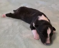 processed/594c3667-4336-4f33-804d-b54acf503087/listing/c3f47791-f926-4709-8fab-f8b8ae861eed/ae119610-ec19-4f0d-9af2-f8980aa9023d