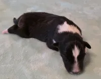 processed/594c3667-4336-4f33-804d-b54acf503087/listing/c3f47791-f926-4709-8fab-f8b8ae861eed/daef9775-2158-4a00-a667-da4b92def298