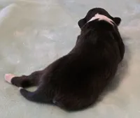 processed/594c3667-4336-4f33-804d-b54acf503087/listing/c3f47791-f926-4709-8fab-f8b8ae861eed/e9ad5735-1214-4994-ae44-556993a23d82