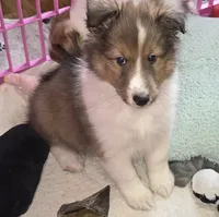 processed/594c3667-4336-4f33-804d-b54acf503087/listing/fe3d8bff-d96a-444b-bb92-a897f99cac9b/69dd2b00-2fde-4ebd-8ba2-a7a249e84c5f