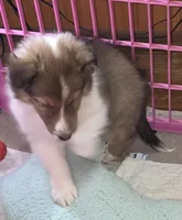 processed/594c3667-4336-4f33-804d-b54acf503087/listing/fe3d8bff-d96a-444b-bb92-a897f99cac9b/a61b4a45-61cc-4944-b566-ae01612a347d