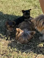 processed/594d4cf4-e2bc-46c8-a883-5048f87641d1/listing/b377ce41-1f33-4291-9931-6e1c6fca42fe/5e1c657c-81ee-4a7e-89a9-053f85b11212