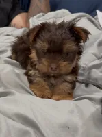 processed/594d4cf4-e2bc-46c8-a883-5048f87641d1/listing/b377ce41-1f33-4291-9931-6e1c6fca42fe/9375b12c-d37e-4d0b-8b1d-4ba30987b773