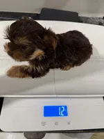 processed/594d4cf4-e2bc-46c8-a883-5048f87641d1/listing/b377ce41-1f33-4291-9931-6e1c6fca42fe/ac86873f-c393-42c5-8fa9-8440edfa2f64