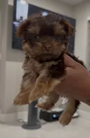 processed/594d4cf4-e2bc-46c8-a883-5048f87641d1/listing/b377ce41-1f33-4291-9931-6e1c6fca42fe/acc24204-56c2-4684-9342-d2ed2f8924ce