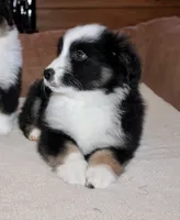 processed/594ec43a-1587-4d10-9450-39924baaf22d/listing/2659b9f5-cb3c-4a66-9d51-2b3ddd391dee/275ce044-8884-46b5-9780-6e2b31eaac06