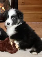 processed/594ec43a-1587-4d10-9450-39924baaf22d/listing/2659b9f5-cb3c-4a66-9d51-2b3ddd391dee/5283f2be-7398-4a36-af3e-aed0ee7560ea