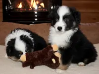 processed/594ec43a-1587-4d10-9450-39924baaf22d/listing/2659b9f5-cb3c-4a66-9d51-2b3ddd391dee/e538dbb8-00b7-4211-9aea-1fd857c5f916