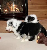 processed/594ec43a-1587-4d10-9450-39924baaf22d/listing/36b86128-29e4-4352-bd0a-265b01e92080/7ab4fb00-c4f8-49b4-9d8f-ccd5f4bebf2a